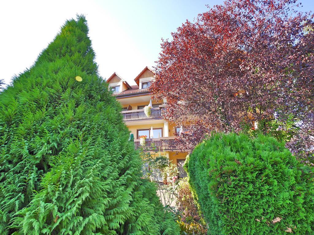 Ringhotel Garni Pflug Oberkirch  Ngoại thất bức ảnh