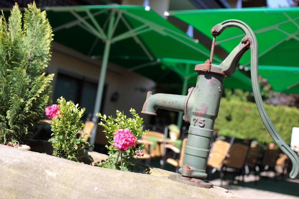 Ringhotel Garni Pflug Oberkirch  Ngoại thất bức ảnh